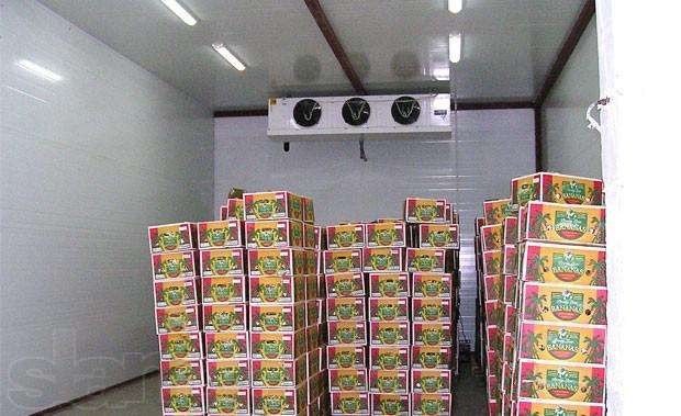 Холодильные камеры для экзотических фруктов - фото 1 - id-p50994968