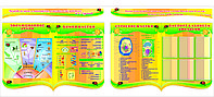 СТЕНДЫ по биологии р-р 160* 100 см, 160*30 см, стоимость за комплект, без борта