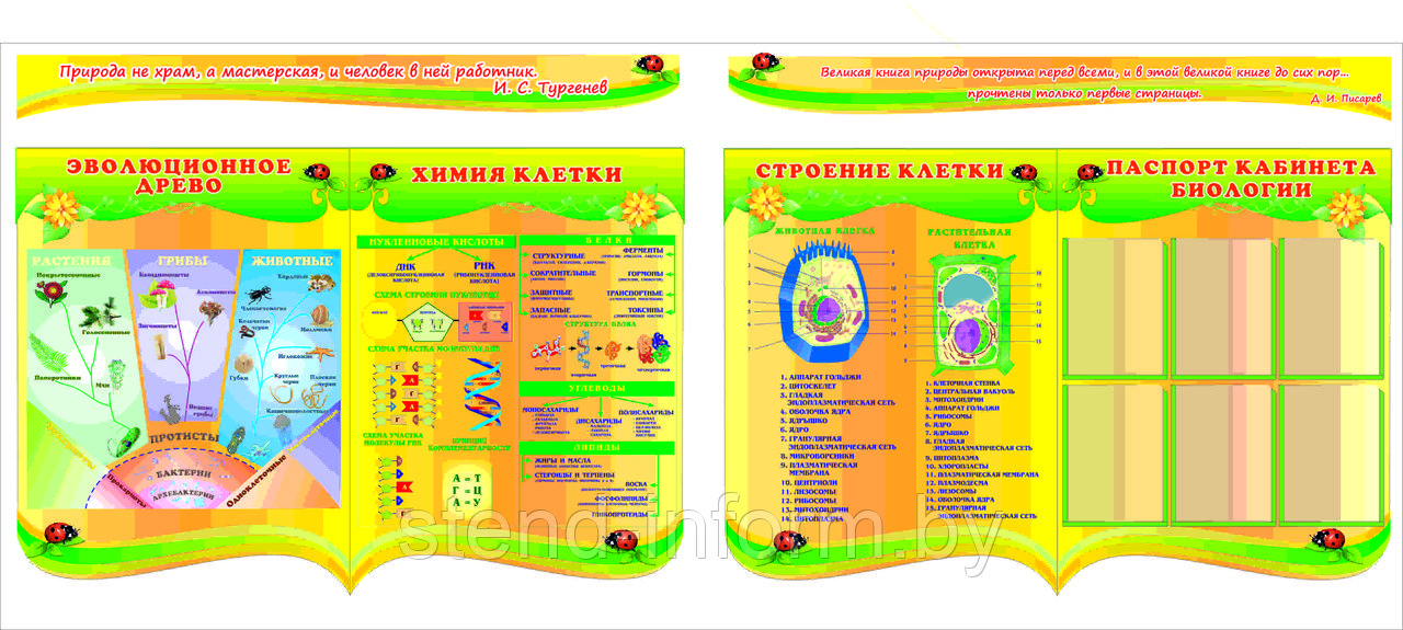 Стенд чилов 0.26. Плакаты в кабинет биологии. Стенды для кабинета биологии. Стенд по биологии в школе. Стенды для кабинета биологии в школе.