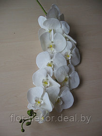 Ветка орхидеи крупная белая, L= 125см