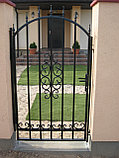 Ворота распашные и калитка кованые в Гродно, фото 2