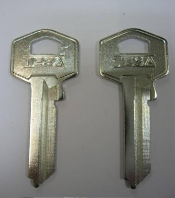 Ключ TE8.TE28_TS9R.TS7R.TS7RT TE2_TSA22 TESA - фото 1 - id-p51494306