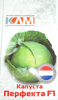 Капуста белокочанная Перфекта F1