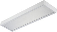 Потолочный LED-светильник TLC06 CL ECP