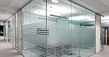 Каленое стекло для офисных перегородок, фото 3