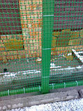 Сетка полипропиленовая 2х50м зеленая Ранч Tenax, фото 4