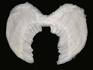 Карнавальные крылья ангела 56х40 см