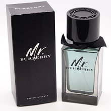 Мужская туалетная вода Burberry Mr. Burberry edt 100ml 