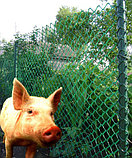 Заборная решетка пластиковая З-55/19/20, рулон 1,9*20метров, фото 4