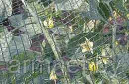 Защита агрокультур. Плетеная сетка из полиэтилена ДЕФЕНДЕР ПЛЮС зел. в рулонах 4,0х100мп - 1*800*000, фото 1