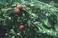 Защита от птиц. Плетеная сетка из полиэтилена ОРТОФЛЕКС зеленая  в рулонах 4,0х250мп