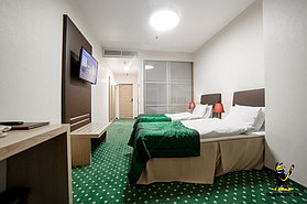 Проект Green City Hotel 8