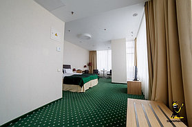 Проект Green City Hotel 13