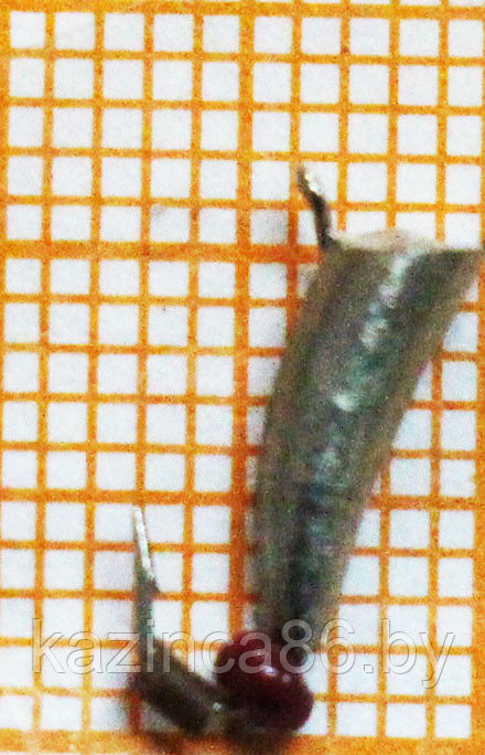 Мормышка вольфрамовая "Столбик" 0.76г. - фото 1 - id-p52259713
