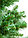Новогодняя искусственная ель, искусственная елка - ИНЕЙ от 1.6 до 3.0 м., фото 2