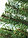 Искусственная ель, новогодняя елка - АРКТИКА от 1.5 до 3.0 м., фото 2