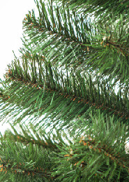 Искусственная ель, новогодняя елка - АРКТИКА от 1.5 до 3.0 м. - фото 2 - id-p52368834