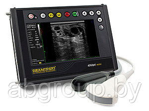 Узи сканер для животных Draminski 4vet mini - фото 1 - id-p52396695