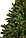 Искусственная елка (ель, елка, сосна), новогодняя елка - престиж (премиум) высота от 1.6 до 6.0 м, фото 2