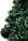 Искусственная сосна (ель, елка), новогодняя сосна - АЛЯСКА высота от 1.6 до 6.0 м, фото 2