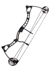 Блочный лук HOYT ProHawk