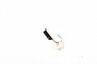 Мормышка вольфрамовая TRUE WEIGHT "Кошачий глаз" подвес d2,0 белый, фото 4
