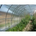 Теплица Урожай ПК 10м из поликарбоната 4мм  "Сибирские теплицы" плотность 0,6кг/м2 (усиленный), фото 2