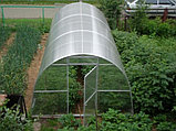 Теплица Урожай ПК 10м из поликарбоната 4мм  "Сибирские теплицы" плотность 0,6кг/м2 (усиленный), фото 4