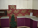 Кухня с комбинированными фасадами из пластика флора ваниль и флора слива, фото 2