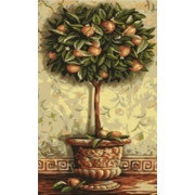Картина по номерам Апельсиновое дерево (MY003) 40х80 см