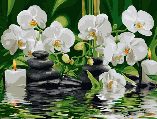 Картина по номерам Белые орхидеи 30х40 см, фото 2