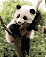 Картина по номерам Панда на дереве (PC4050192) 40х50 см