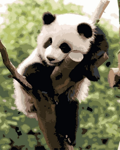 Картина по номерам Панда на дереве (PC4050192) 40х50 см - фото 1 - id-p53811826