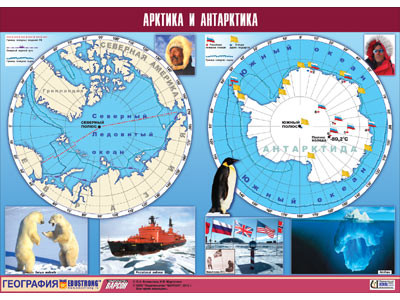 Таблица демонстрационная "Арктика и Антарктика" (винил 100х140) - фото 1 - id-p53885833