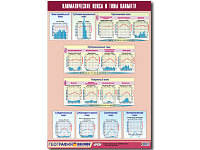 Таблица демонстрационная "Климатические пояса и типы климата" (винил 70х100)