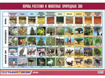 Таблица демонстрационная "Почвы, растения и животные природных зон" (винил 100x140) - фото 1 - id-p53991104