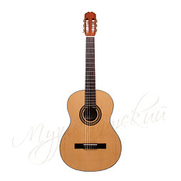 Гитара классическая Manuel Rodriguez C-8
