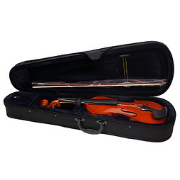 Скрипка 4/4 Aileen VG-001