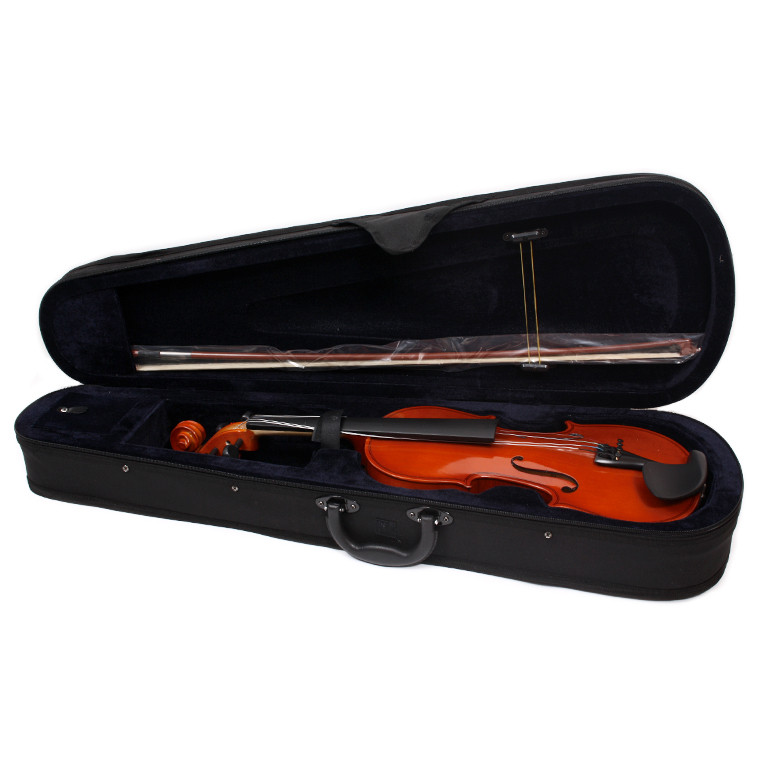 Скрипка 4/4 Aileen VG-001 - фото 1 - id-p54178992