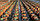 Зеленое покрытие и мульчирование.Сетка тканая из ПЭ Грин Ковер (темно-зеленая, 100% затенения)в рул , фото 3