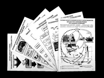 Комплект таблиц по экологии "Экосистема-экологическая единица окружающей среды" (ламинир, А4,12шт) - фото 1 - id-p54514154