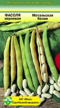 Фасоль зерновая (лущильная) Мотольская белая