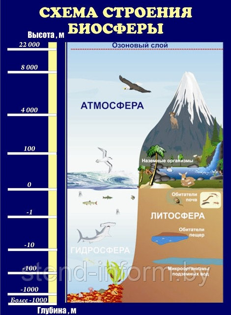 Схема строения биосферы (р-р 60*100 см ) стенд без борта