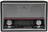 Радиоприёмник Ritmix RPR-101 Black (FM/AM/SW, USB, SD, пульт, аккумулятор, сеть 220В, 2 динамика, эквалайзер)