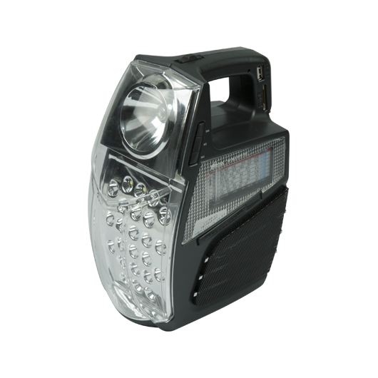 Радиоприёмник Ritmix RPR-555 (FM/AM/SW, USB, SD, 2 фонаря, аккумулятор, сеть 220В)