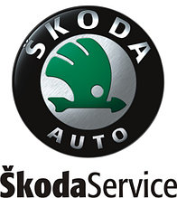 Компьютерная диагностика Шкода Skoda в Гомеле выезд к клиенту