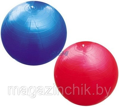 Мяч гимнастический фитбол 65 см Atemi - фото 1 - id-p2053977