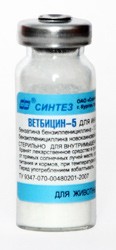 Ветбицин-5, "Синтез", Россия