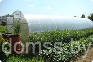 Теплица Урожай Абсолют 4-х метровая (оцинкованная труба 25х25 мм,поликарбонат сотовый 4мм усиленный)