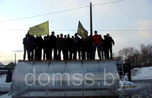 Теплица Урожай Абсолют 8-и метровая(оцинкованная труба 25х25 мм, поликарбонат сотовый 4 мм, две двери) - фото 4 - id-p2066517